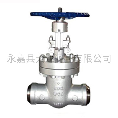 DGV-美標焊接閘閥